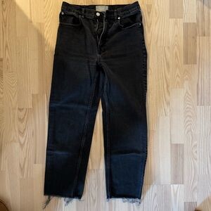 Everlane Way High Black Ankle Jeans